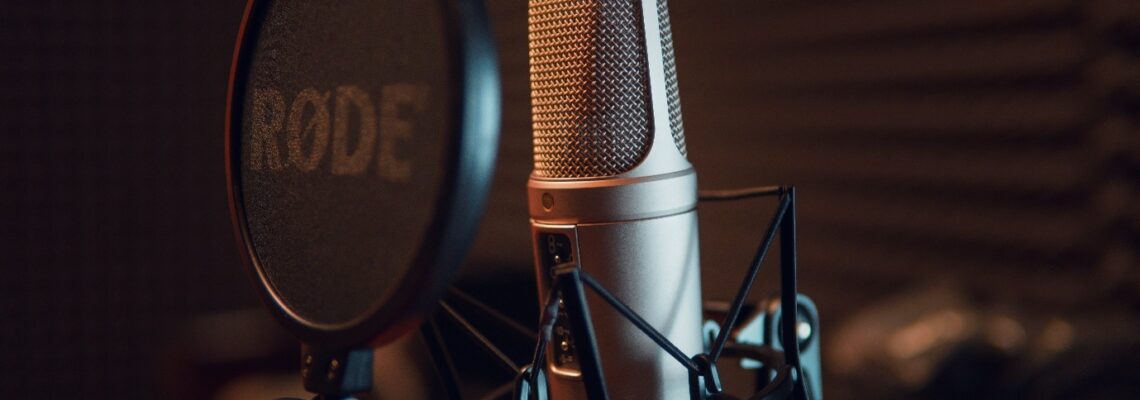 What are the Different Types of Voice Over Translation?
